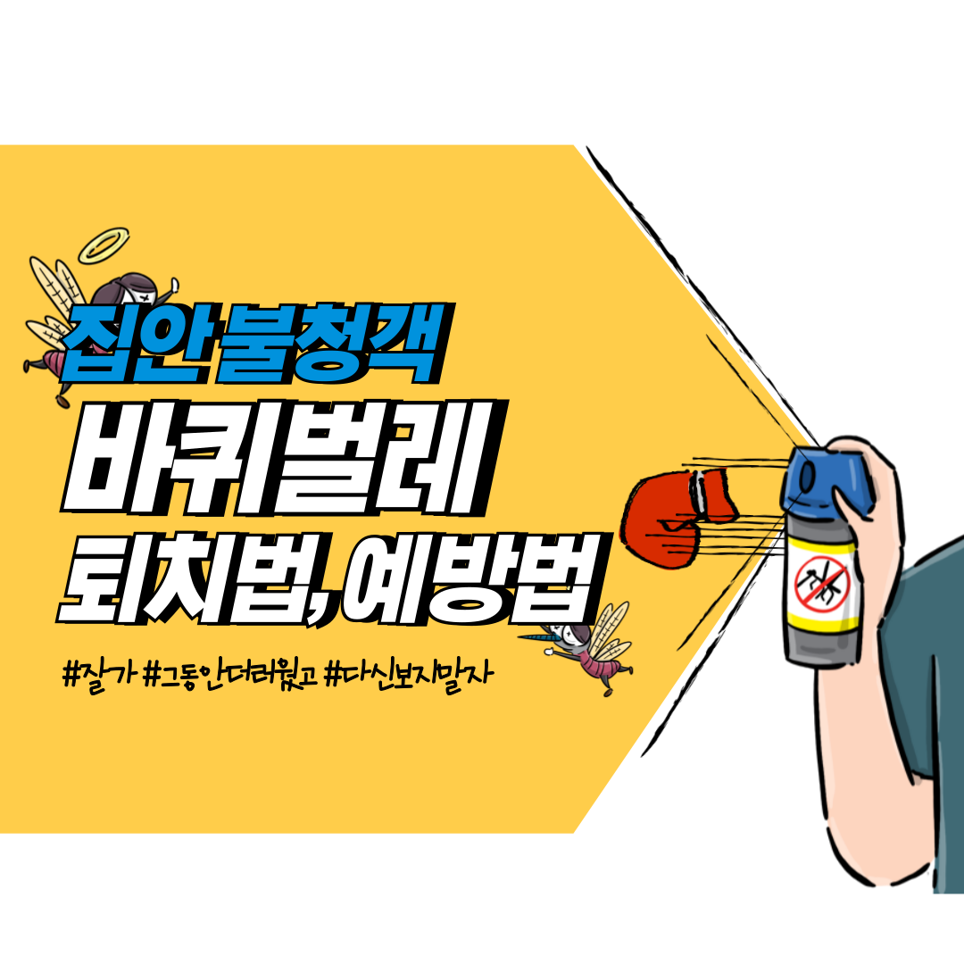 바퀴벌레 예방 및 없애는 퇴치 방법