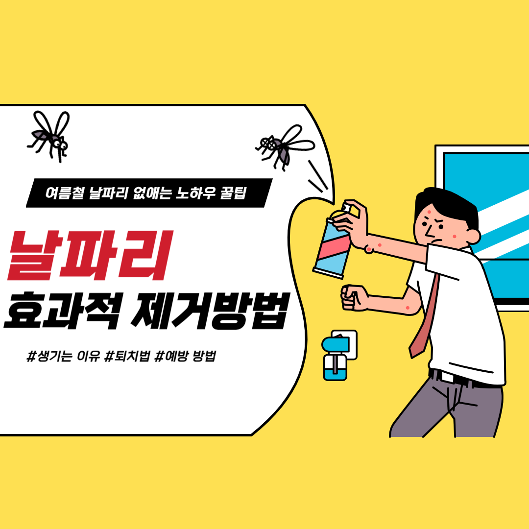 날파리 생기는 이유 퇴치법 예방방법