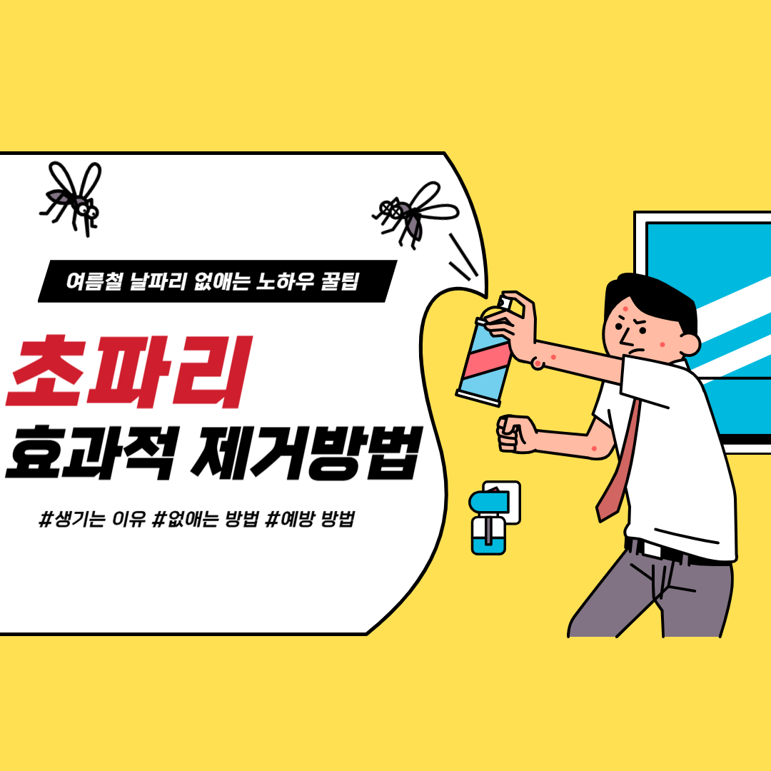 초파리 생기는 이유 없애는 법 예방 방법