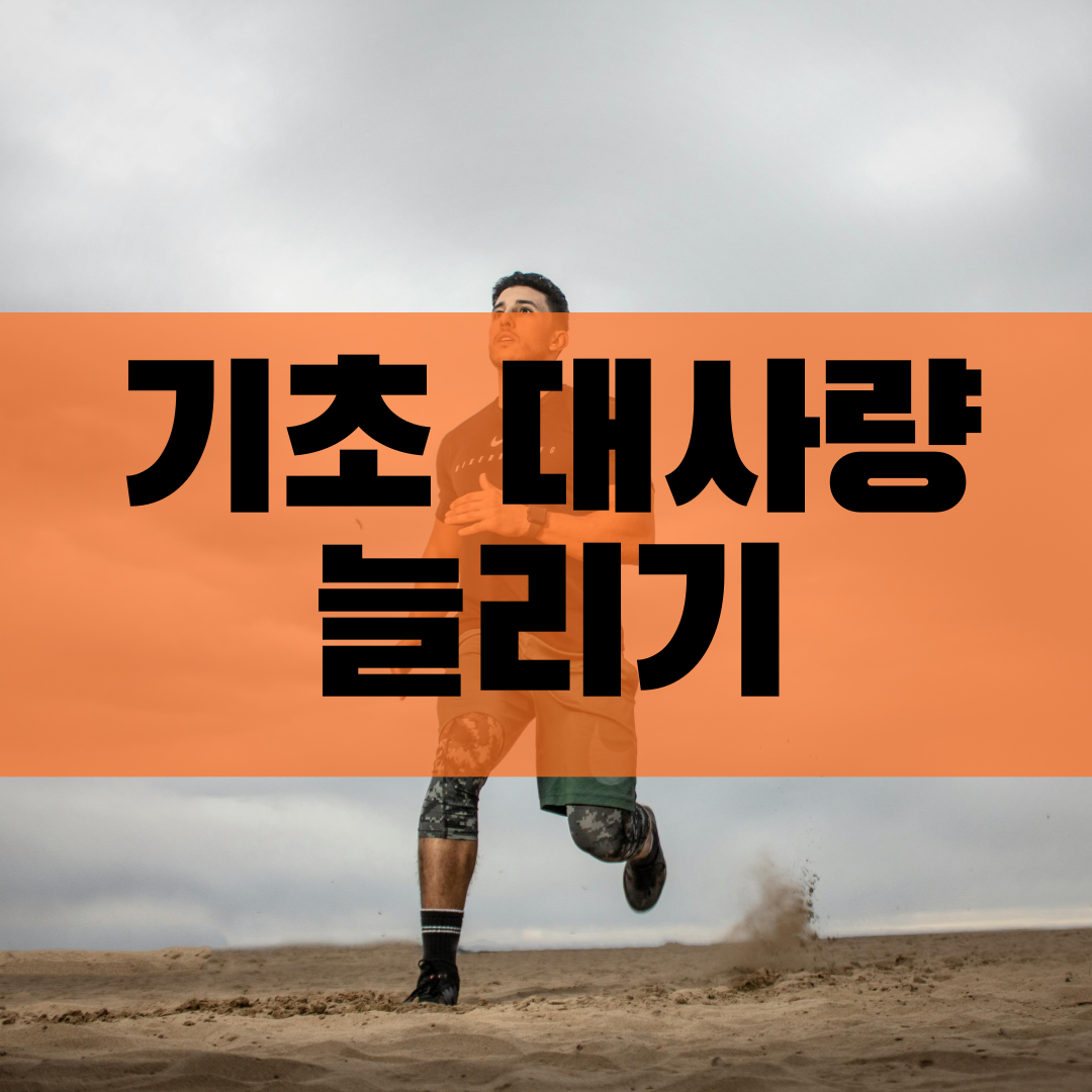 기초 대사량 높이는 방법, 계산법