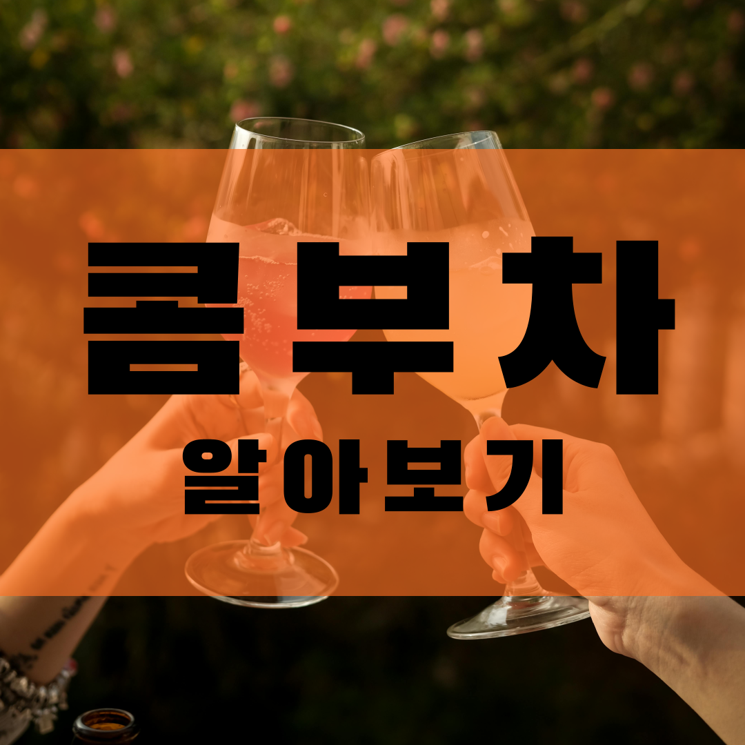 콤부차 효능 칼로리 다이어트 주의사항