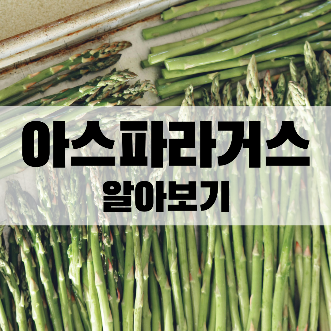 아스파라거스 요리, 효능 알아보기