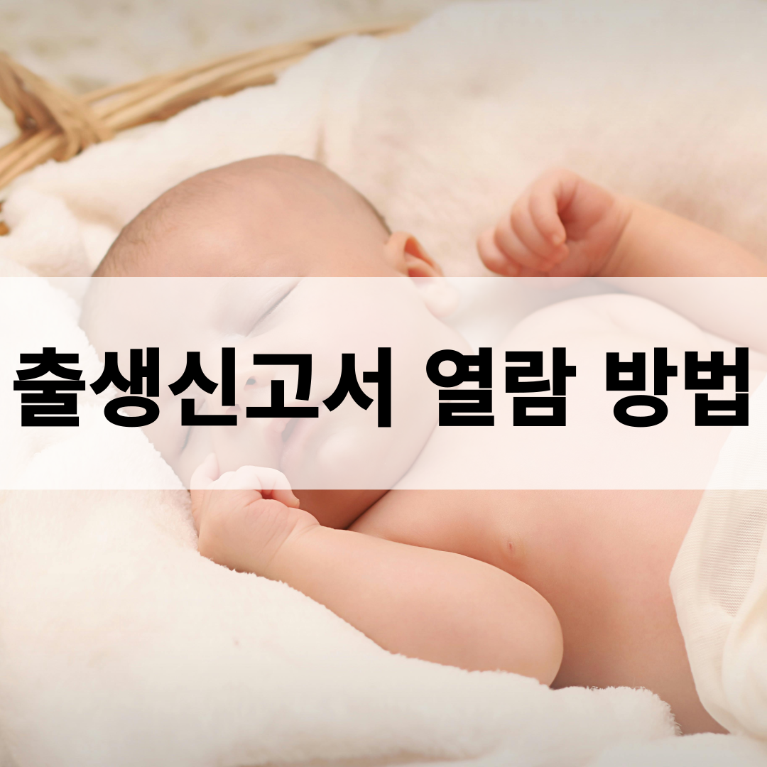 출생신고서 열람 신청 방법(전화 필수)